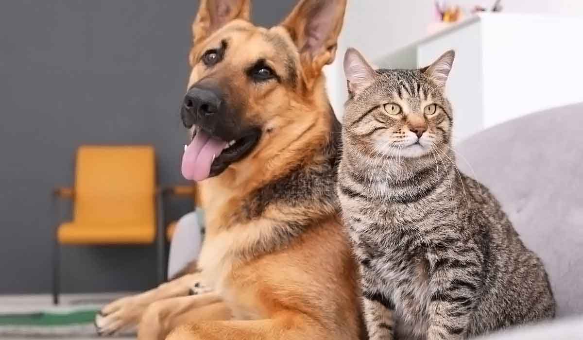 实惠的交易渠道求的DDOS在线攻击平台