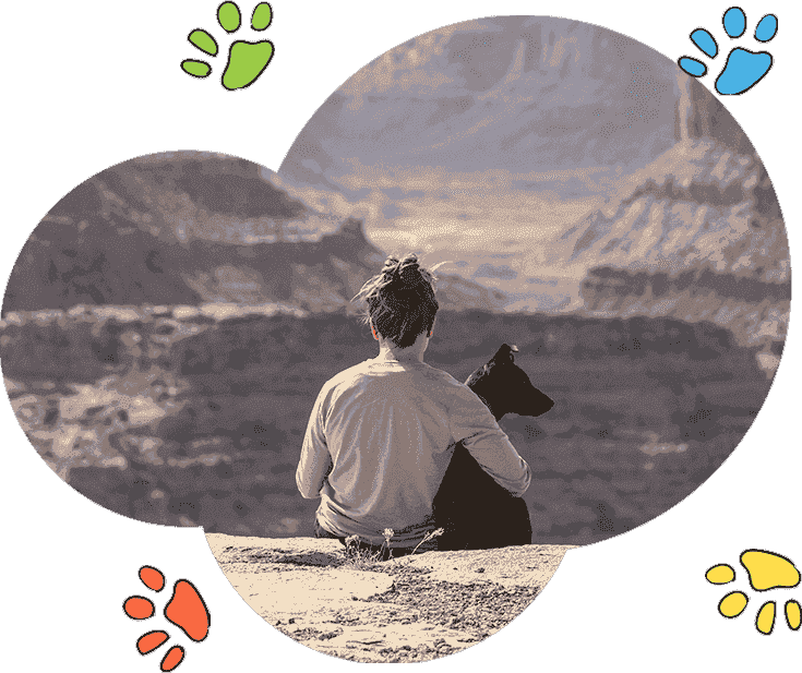 企业数字化转型的DDOS在线攻击平台